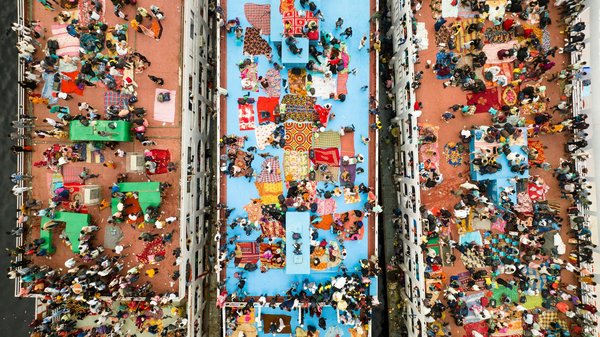 Guide d'achat : variétés de semence de gazon pour jardin